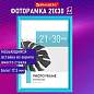 Рамка 21х30 см небьющаяся, багет 17,5 мм, пластик, BRAUBERG "Colorful", голубая, 391238 (арт. 391238)