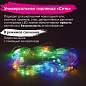 Электрогирлянда-сеть комнатная 1,5х1,5 м,160 LED, мультицветная, 220 V, контроллер, ЗОЛОТАЯ СКАЗКА, 591106 (арт. 591106)