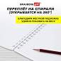 Скетчбук для маркеров, бумага 160 г/м2, 210х297 мм, 50 л., гребень, подложка, BRAUBERG ART CLASSIC, "Неон", 115077 (арт. 115077)