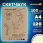 Скетчбук, слоновая кость 100 г/м2, 210х297 мм, 120 л., прошивка, BRAUBERG ART CLASSIC, 128960 (арт. 128960)