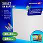 Холст на картоне BRAUBERG ART CLASSIC, 30*40см, грунтованный, 100% хлопок, мелкое зерно, 190621 (арт. 190621)
