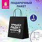 Пакет подарочный (1 штука) 26х13х32 см (L) "Пришел ради вискаря!", крафт, ЗОЛОТАЯ СКАЗКА, 700842 (арт. 700842)