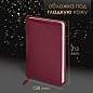Ручка шариковая PARKER "Jotter Plastic CT", корпус красный, ежедневник А5 красный, пакет, 880897 (арт. 880897)