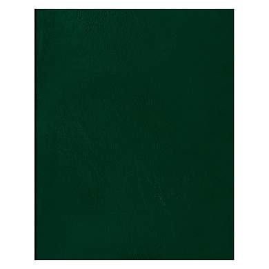 Тетрадь 80л., А4 клетка BG, бумвинил, зеленый (арт. 357601)