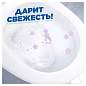 Средство для уборки туалета 900 мл, ТУАЛЕТНЫЙ УТЕНОК Супер Сила "Антиналет", 865023 (арт. 701794)