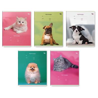 Тетрадь 12л., линия BG "Little animal" (арт. 368744)