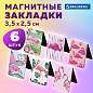 Закладки для книг МАГНИТНЫЕ, "FLAMINGO", набор 6 шт., 35x25 мм, BRAUBERG, 113165 (арт. 113165)