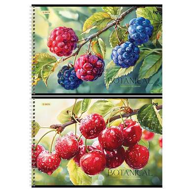 Альбом для рисования 32л., А4, на гребне BG "Botanical" (арт. 378708)