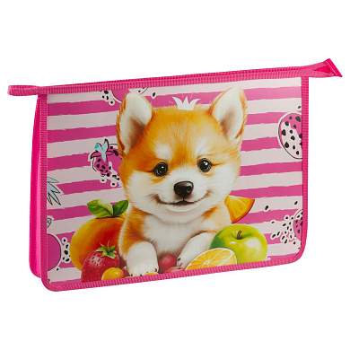Папка для тетрадей 1 отделение, ArtSpace "Corgi", А4, пластик, на молнии (арт. 380269)