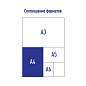 Папка с пружинным скоросшивателем Berlingo "Color Storm", 17мм, 600мкм, с внутр. карманом, с рисунко (арт. 299530)
