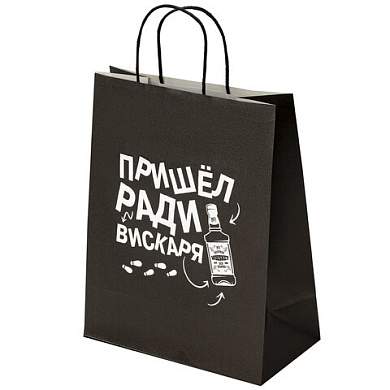 Пакет подарочный (1 штука) 26х13х32 см (L) "Пришел ради вискаря!", крафт, ЗОЛОТАЯ СКАЗКА, 700842 (арт. 700842)