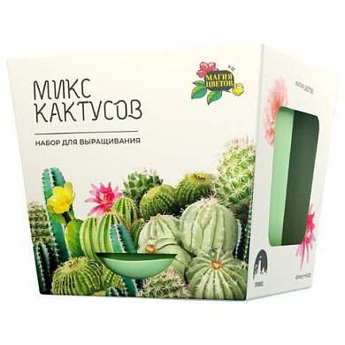 Набор для выращивания растений МАГИЯ ЦВЕТОВ, "Кактусы микс", (горшок, грунт, семена),, mf-003 (арт. 666762)