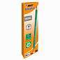 Карандаш чернографитный BIC, 1 шт., "Evolution", HB, с ластиком, корпус зеленый, 8803323 (арт. 180094)