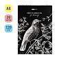 Скетчбук 20л., А4 ArtSpace "Black line. Bird", на гребне, черный блок, 120г/м2 (арт. 315927)