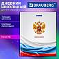 Дневник 1-11 класс 40 л., твердый, BRAUBERG, ламинация, цветная печать, "РОССИЙСКОГО ШКОЛЬНИКА-4", 107629 (арт. 107629)