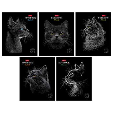 Тетрадь А5, 48 л., HATBER, скоба, клетка, матовая ламинация, 3D-лак, "Black Cat" (микс в спайке), 093159, 48Т5лолВ1 (арт. 405709)