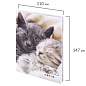 Блокнот МАЛЫЙ ФОРМАТ (110х147 мм), А6, 80 л., твёрдый, клетка, STAFF, "Котики", 114439 (арт. 114439)