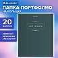 Папка-портфолио универсальная, 4 кольца, 20 файлов 10 вкладышей, 7БЦ матовая, BRGAUBERG, 117554 (арт. 117554)