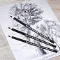 Карандаши (НАБОР 12 штук) угольные BRAUBERG ART CLASSIC, (МЯГКИЙ, СРЕДНИЙ, ТВЕРДЫЙ), 181293 (арт. 181293)