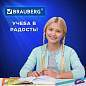 Набор чертежный большой BRAUBERG "FRUITY" (линейка 30 см, 2 треугольника, транспортир), ассорти, пенал, 210772 (арт. 210772)