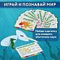 Набор для раскопок "Морские животные", 12 видов, карточки, инструменты, BRAUBERG KIDS, 665126 (арт. 665126)