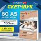 Скетчбук, белая бумага 100 г/м2, 140х201 мм, 60 л., гребень, жёсткая подложка, BRAUBERG ART DEBUT, "Котик!", 115062 (арт. 115062)