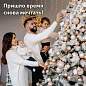 Шары ёлочные 8 шт., 8 см, "Eden Colors", пластик, цвет: золотистый/жемчужный, ЗОЛОТАЯ СКАЗКА, 591980 (арт. 591980)