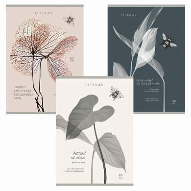 Тетрадь А4 80 л. ПЗБМ, скоба, клетка, Soft Touch, брайль, "Латынь" (микс в спайке), 23430 (арт. 405341)