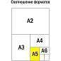 Тетрадь предметная 48л. ArtSpace "Котоцинизм" - Алгебра, ТВИН-лак (арт. 332201)