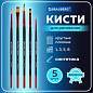 Кисти BRAUBERG PREMIUM, набор 5 шт. (синтетика, круглая № 1, 3, 5, плоская № 5, 8), блистер, 201024 (арт. 201024)