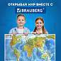 Карта мира физическая 120х78 см, 1:25М, с ламинацией, интерактивная, европодвес, BRAUBERG, 112379 (арт. 112379)