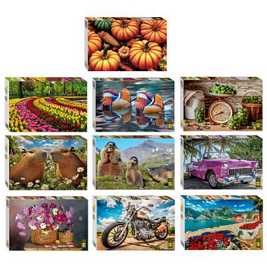Пазл картонный 500 элементов, АССОРТИ, поле 50х34,5 см, STEP PUZZLE (арт. 667859)