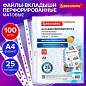 Папки-файлы перфорированные А4 BRAUBERG "PREMIUM", КОМПЛЕКТ 100 шт., матовые, 25 мкм, 273000 (арт. 273000)