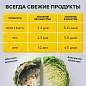 Рулон для вакуумного упаковщика, рифленый, 28х500 см, 1 шт., SONNEN, максимальный вакуум, 456343 (арт. 456343)