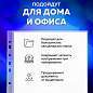 Папки-файлы перфорированные, А4, BRAUBERG "STANDARD", комплект 100 шт., гладкие, 45 мкм, 226831 (арт. 226831)