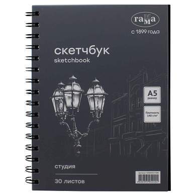 Альбом для графики, 30л., А5, на спирали Гамма "Студия", черный, 140г/м2 (арт. 370395)