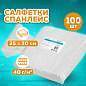 Салфетка одноразовая белая 25х30 см, КОМПЛЕКТ 100 шт., спанлейс, 40 г/м2, ЧИСТОВЬЕ, 00-146 (арт. 630230)