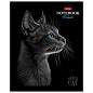 Тетрадь А5, 48 л., HATBER, скоба, клетка, матовая ламинация, 3D-лак, "Black Cat" (микс в спайке), 093159, 48Т5лолВ1 (арт. 405709)