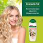 Шампунь 450 мл PALMOLIVE НАТУРЭЛЬ "Миндаль", для сухих, поврежденных волос, 8718951556362 (арт. 609042)