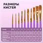 Кисти синтетика BRAUBERG, НАБОР 10 шт., фиолетовые (Круглые; Овальные; Плоские; Лайнеры), 201029 (арт. 201029)