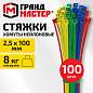 Хомуты-стяжки нейлоновые сверхпрочные ЦВЕТНЫЕ, 2,5х100 мм, КОМПЛЕКТ 4 цвета, 100 шт., ГРАНДМАСТЕР, 702190 (арт. 702190)