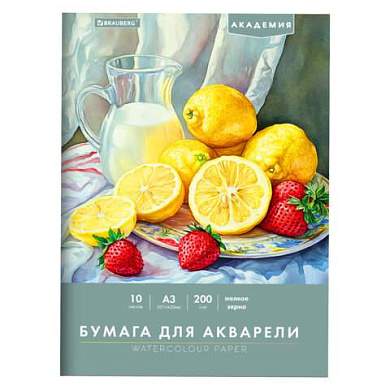 Папка для акварели БОЛЬШАЯ А3, 10 л., 200 г/м2, 297х420 мм, BRAUBERG АКАДЕМИЯ, "Летний натюрморт", 117741 (арт. 117741)