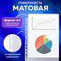 Папки-файлы перфорированные А4 BRAUBERG "PREMIUM", КОМПЛЕКТ 100 шт., матовые, 45 мкм, 221713 (арт. 221713)