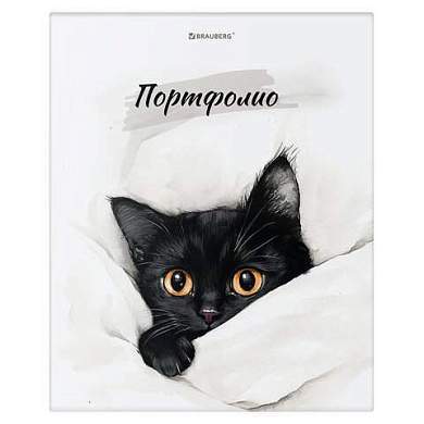 Папка-портфолио универсальная, 4 кольца, 20 файлов 10 вкладышей, 7БЦ матовая, BRAUBERG, 117557 (арт. 117557)