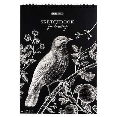 Скетчбук 20л., А4 ArtSpace "Black line. Bird", на гребне, черный блок, 120г/м2 (арт. 315927)
