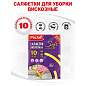 Салфетки универсальные, 30х40 см, КОМПЛЕКТ 10 шт., 90 г/м2, вискоза (спанлейс), PACLAN, 410009 (арт. 704004)