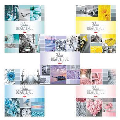 Тетрадь А5, 96 л., HATBER, скоба, клетка, обложка картон, "BEAUTIFUL COLOURE" (5 видов), 96Т5В1, T241349 (арт. 402919)