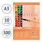 Альбом для акварели, 10л., А3, на склейке Clairefontaine "Etival", 300г/м2, холодное прессование (арт. 304060)