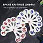Веер-касса (цифры от 1 до 20) ПИФАГОР, 227392 (арт. 227392)