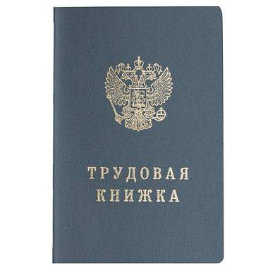 Бланк документа "Трудовая книжка", 88х125 мм, ГОЗНАК (арт. 121229)